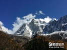【四姑娘山 臥龍熊貓苑二日】四姑娘山、中華熊貓苑 純玩＜雙汽＞