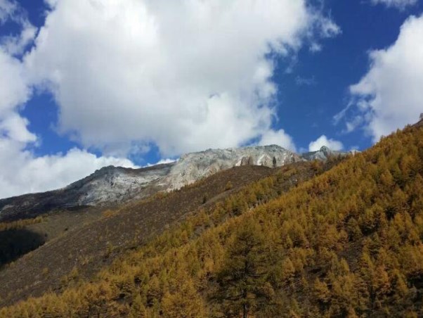 稻城亞丁旅游