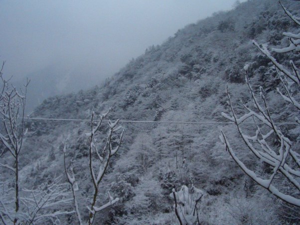 劉宇-20141107-01.jpg